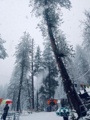 Himtrek Riverside Camps, Kasol